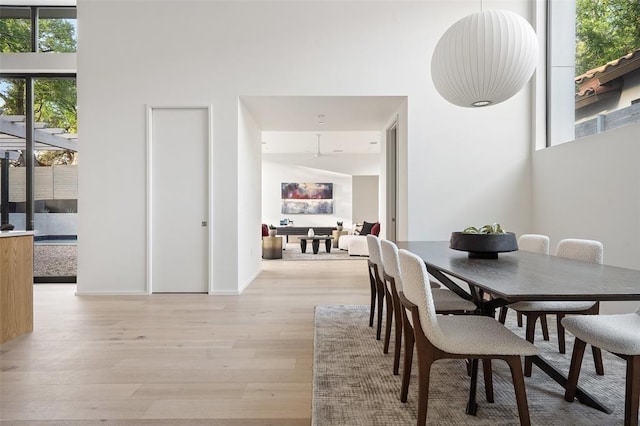 dining room with a towering ceiling and light hardwood / wood-style floors