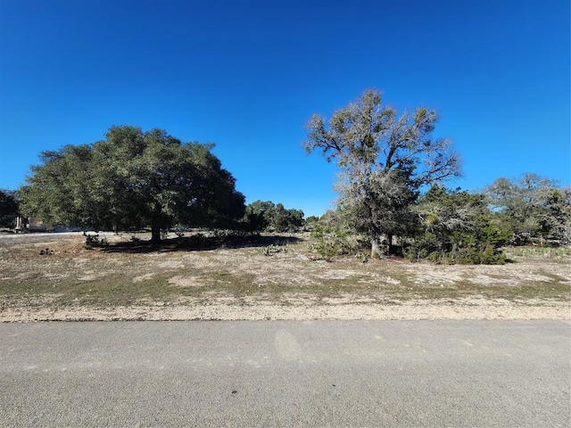 1111 Crystal Fls, Spring Branch TX, 78070 land for sale