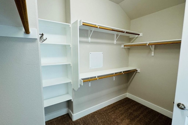 125 Millsaps Ct, Bastrop, TX 78602 - spacious closet with carpet floors