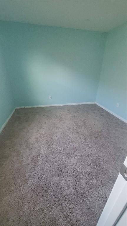 spare room with carpet floors