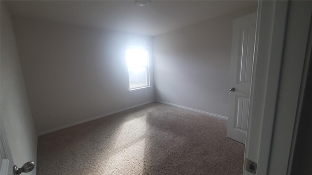 unfurnished room with carpet