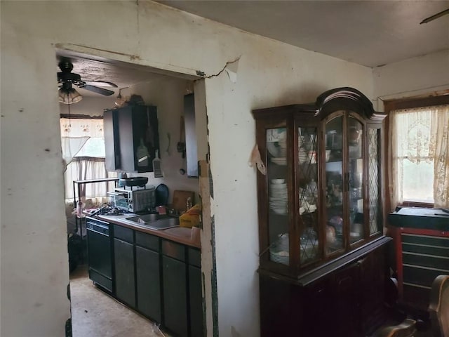 kitchen with ceiling fan, dishwasher, plenty of natural light, and sink