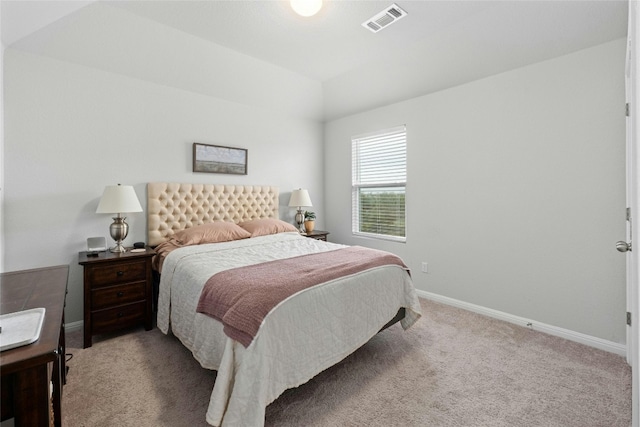 carpeted bedroom with a raised ceiling