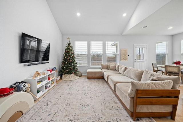 living room with lofted ceiling