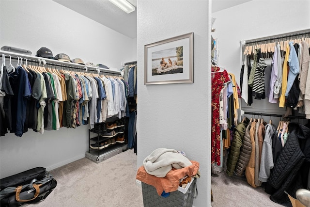 walk in closet featuring light carpet