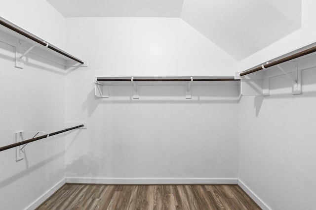 spacious closet featuring dark hardwood / wood-style flooring and vaulted ceiling