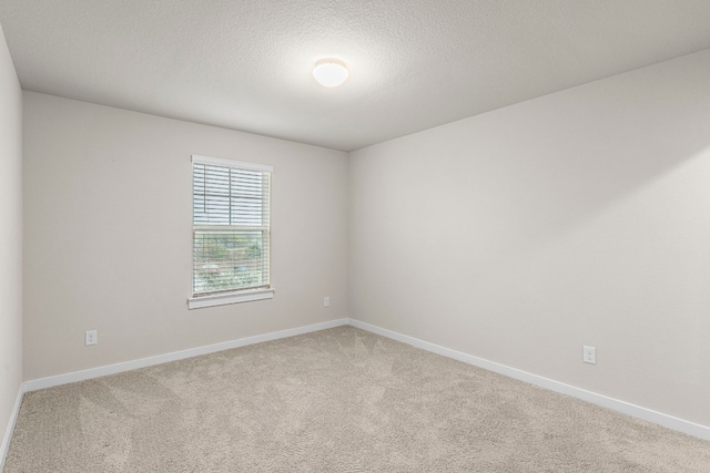 empty room featuring carpet floors and a textured ceiling