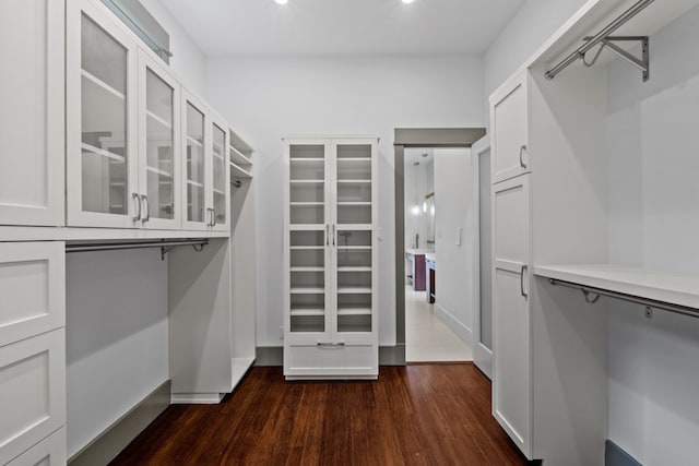 spacious closet with dark hardwood / wood-style floors