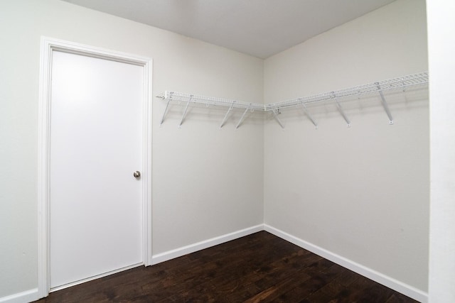 walk in closet featuring hardwood / wood-style flooring