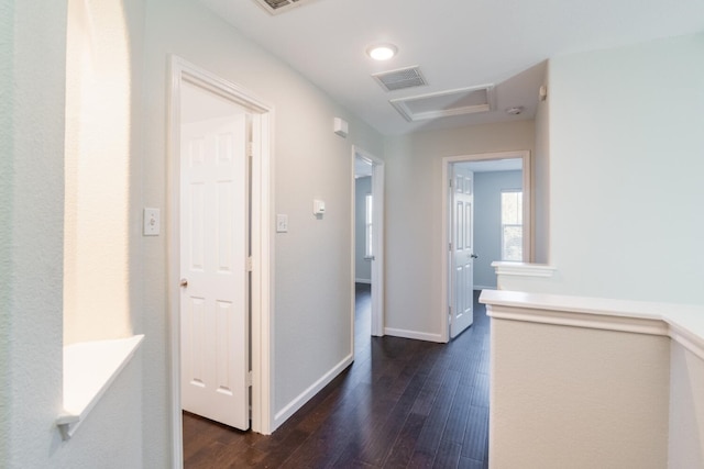 hall featuring dark hardwood / wood-style floors