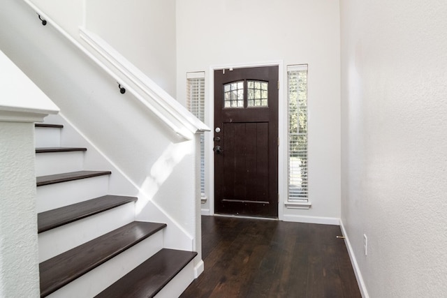 foyer entrance with dark hardwood / wood-style floors and plenty of natural light