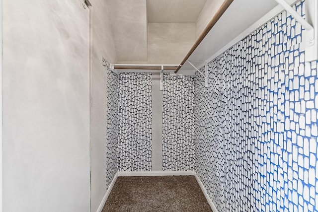 walk in closet with carpet flooring