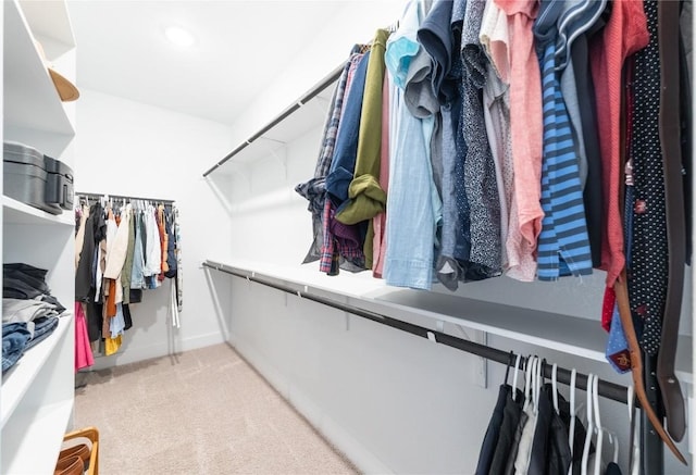 spacious closet featuring light colored carpet