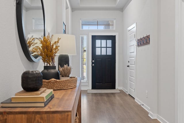 foyer entrance with hardwood / wood-style flooring and a wealth of natural light