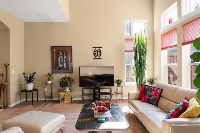 living room with carpet floors