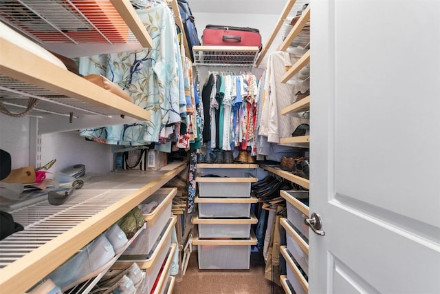 view of spacious closet