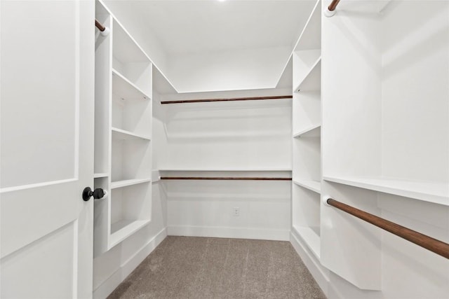 spacious closet featuring light colored carpet