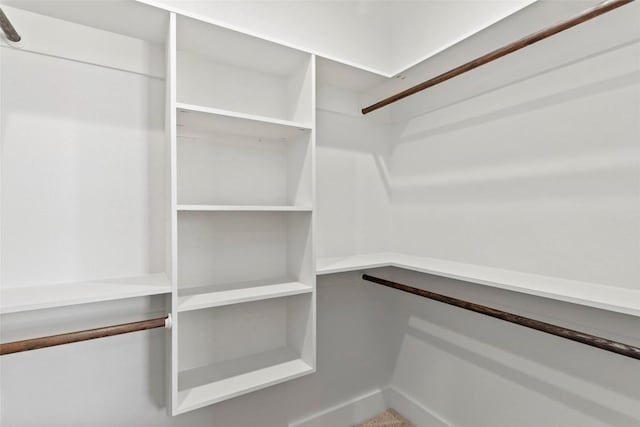 spacious closet featuring carpet