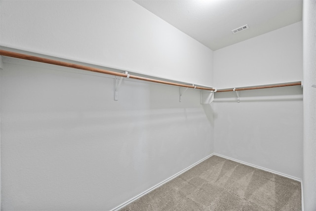 spacious closet with carpet floors