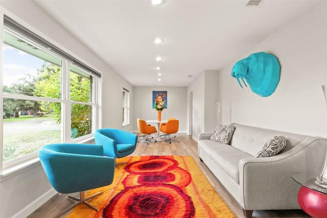 living room with wood-type flooring