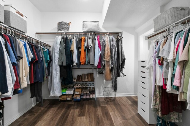 walk in closet with dark hardwood / wood-style floors