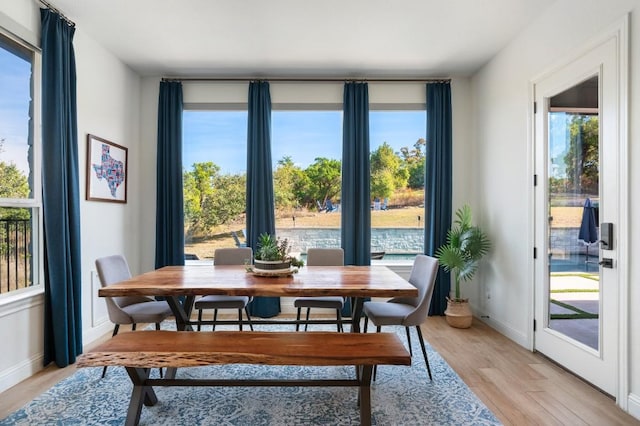 dining area with light hardwood / wood-style floors