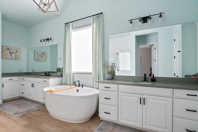 bathroom featuring a tub, vanity, and hardwood / wood-style flooring