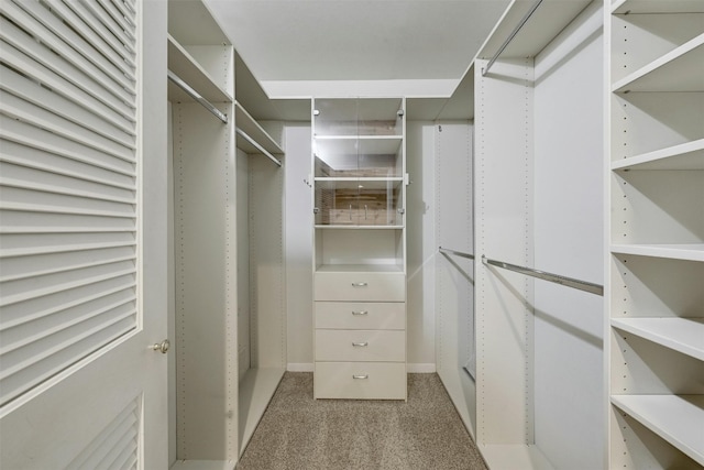 walk in closet with light carpet