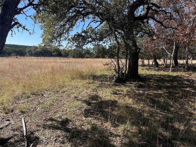 TBD Carney Ln, Wimberley, TX 78676 - photo 4
