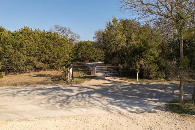 Listing photo 2 for TBD Carney Ln, Wimberley TX 78676