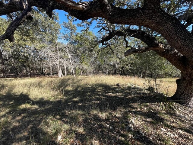TBD Carney Ln, Wimberley, TX 78676 - photo 1