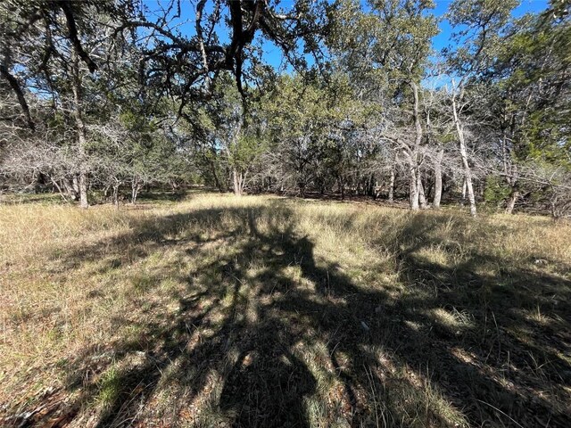 TBD Carney Ln, Wimberley, TX 78676 - photo 6