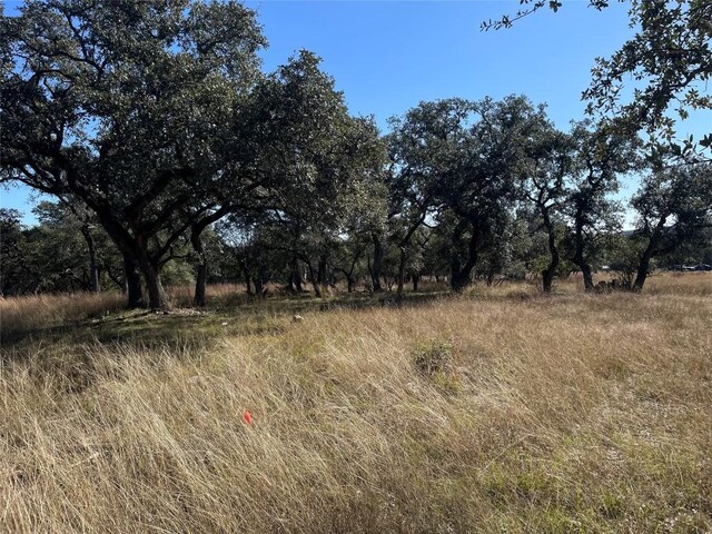 TBD Carney Ln, Wimberley, TX 78676 - photo 15