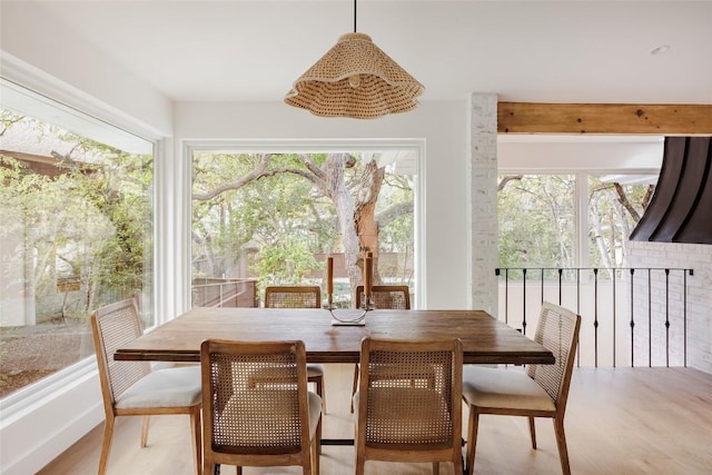 sunroom / solarium with a healthy amount of sunlight