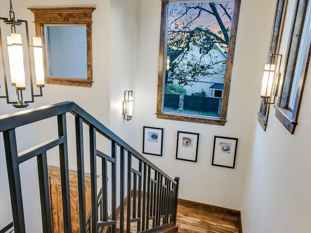 stairs with hardwood / wood-style floors