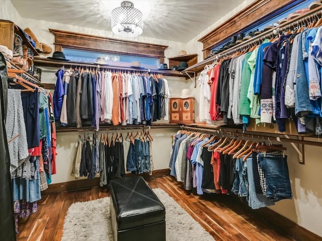 walk in closet with a notable chandelier and dark hardwood / wood-style floors