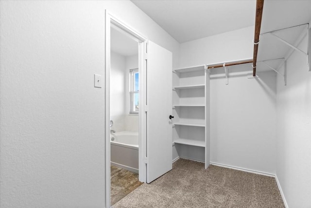 walk in closet featuring light carpet