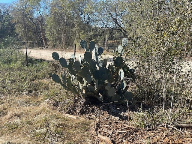 Listing photo 3 for TBDLOT8 Tenney Creek Rd, Luling TX 78648