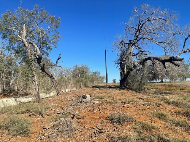 TBDLOT8 Tenney Creek Rd, Luling, TX 78648 - photo 4