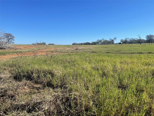 TBDLOT8 Tenney Creek Rd, Luling, TX 78648 - photo 6