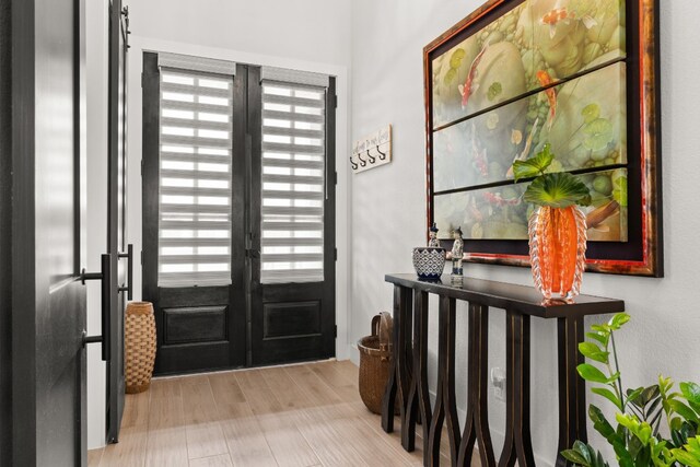 entrance foyer featuring a wealth of natural light and wood finished floors