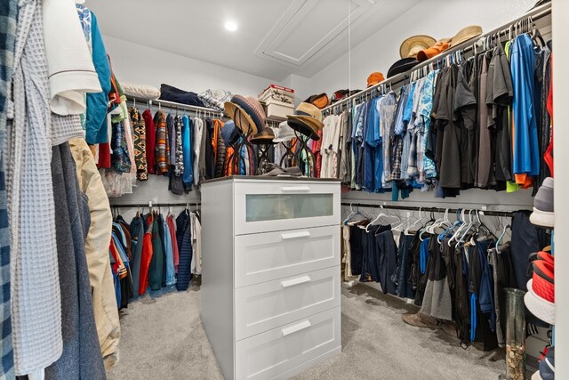 spacious closet with carpet flooring and attic access