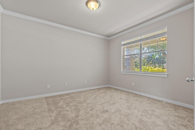 spare room featuring light colored carpet and ornamental molding