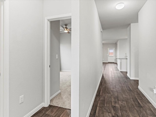 hallway featuring dark hardwood / wood-style floors