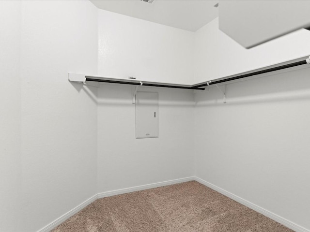 spacious closet featuring carpet flooring