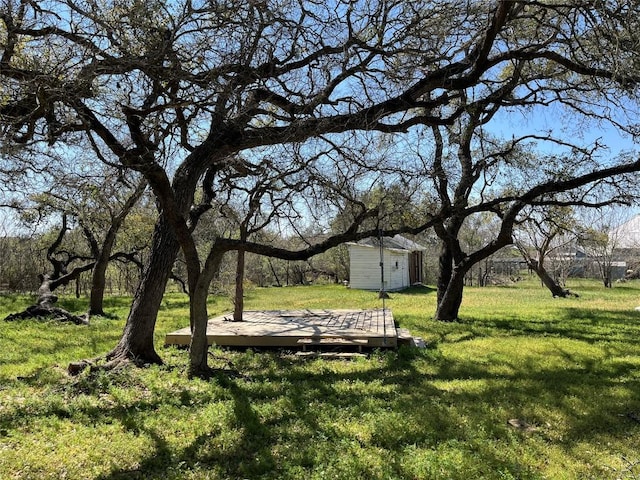3480 Jack C Hays Trl, Buda, TX 78610 - photo 32
