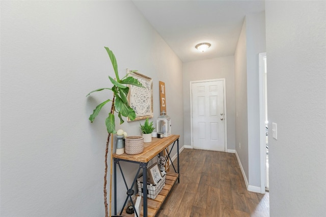 doorway to outside with dark hardwood / wood-style flooring