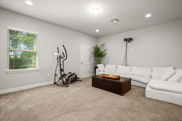 living room with carpet floors