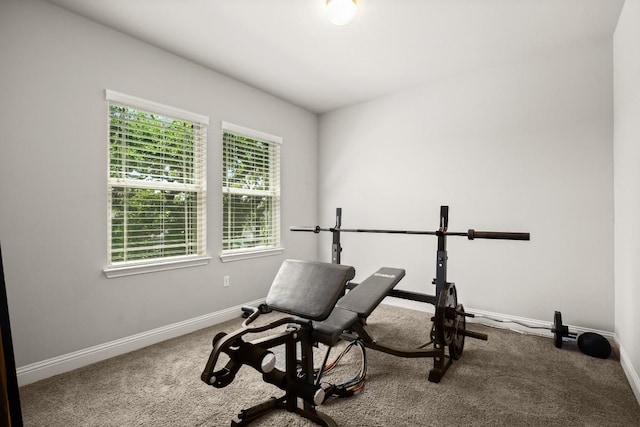 workout area featuring carpet floors