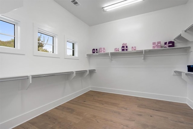 walk in closet with wood-type flooring